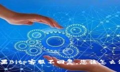 如果Bitp客服不回复，您该怎么做？