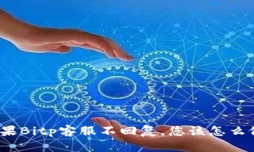 如果Bitp客服不回复，您该怎么做？