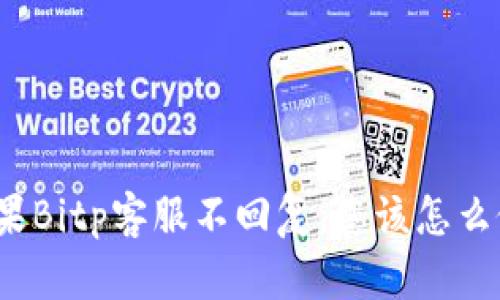 如果Bitp客服不回复，您该怎么做？