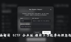 全面解析 BITP 企业版：提升工作效率的理想选择