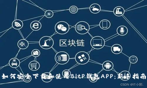 如何安全下载和使用BitP钱包APP：新手指南