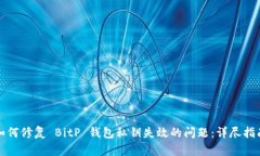 如何修复 BitP 钱包私钥失效的问题：详尽指南