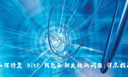 如何修复 BitP 钱包私钥失效的问题：详尽指南