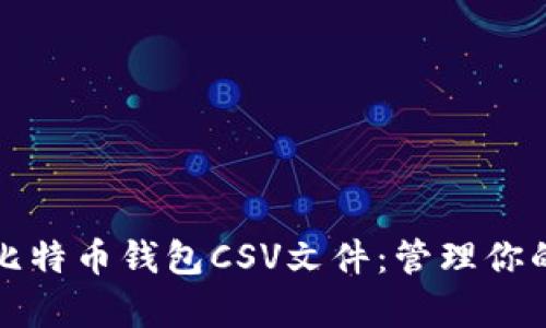 全面解析比特币钱包CSV文件：管理你的数字资产