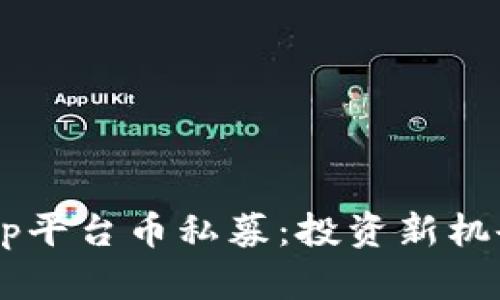 深入解析BitKeep平台币私募：投资新机会还是风险重重？