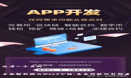 思考一个且的


全面解析国内Web3公链：未来科技的引领者