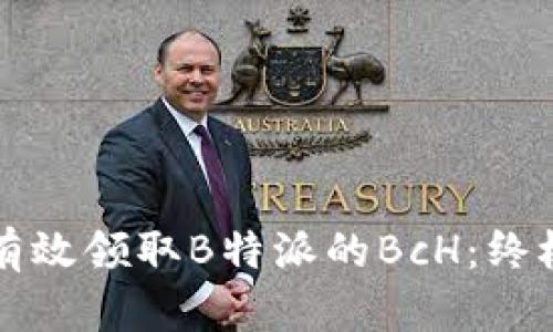 如何有效领取B特派的BcH：终极指南