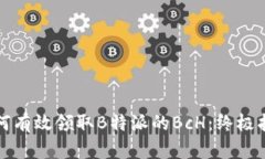 如何有效领取B特派的BcH：终极指南