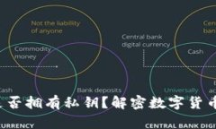 B特派钱包是否拥有私钥？解密数字货币安全的关