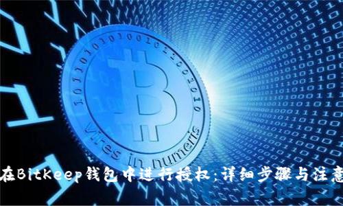 如何在BitKeep钱包中进行授权：详细步骤与注意事项