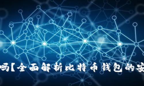 比特币钱包安全吗？全面解析比特币钱包的安全性及保护策略