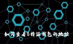 如何查看B特派钱包的地址