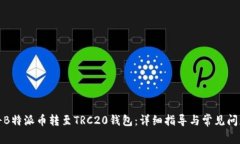 如何将B特派币转至TRC20钱包：详细指导与常见问