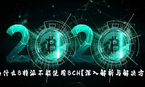 为什么B特派不能使用BCH？深入解析与解决方案