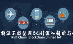 为什么B特派不能使用BCH？深入解析与解决方案
