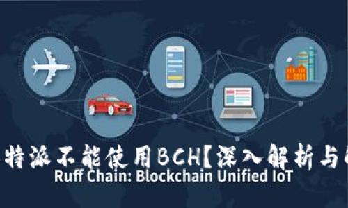 为什么B特派不能使用BCH？深入解析与解决方案