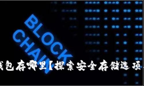 比特币冷钱包存哪里？探索安全存储选项与使用指南