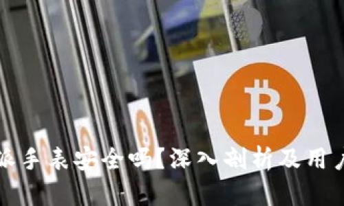 比特派手表安全吗？深入剖析及用户评价
