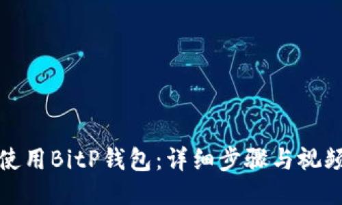 如何使用BitP钱包：详细步骤与视频教程