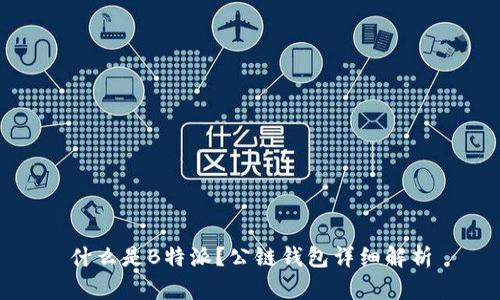 什么是B特派？公链钱包详细解析