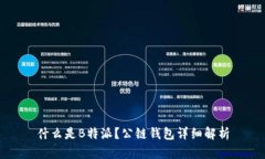 什么是B特派？公链钱包详细解析