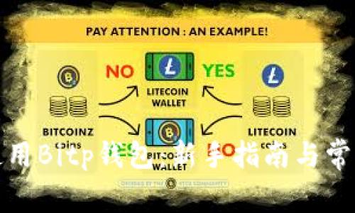 如何高效使用Bitp钱包：新手指南与常见问题解答