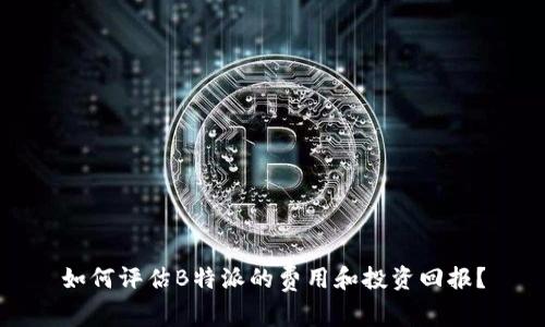 如何评估B特派的费用和投资回报？