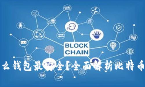 比特币放在什么钱包最安全？全面解析比特币钱包的安全性