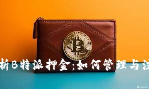 深入解析B特派押金：如何管理与注意事项
