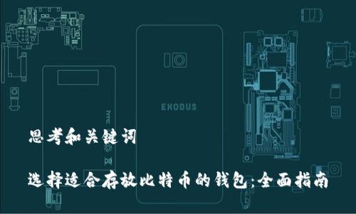 思考和关键词

选择适合存放比特币的钱包：全面指南