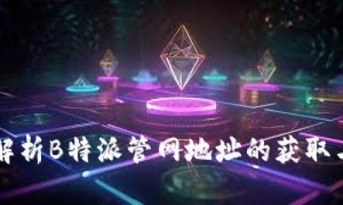 全面解析B特派管网地址的获取与使用