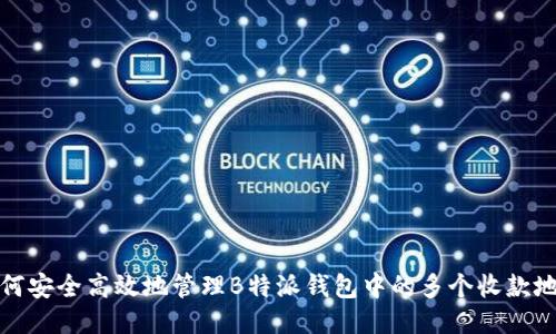 如何安全高效地管理B特派钱包中的多个收款地址