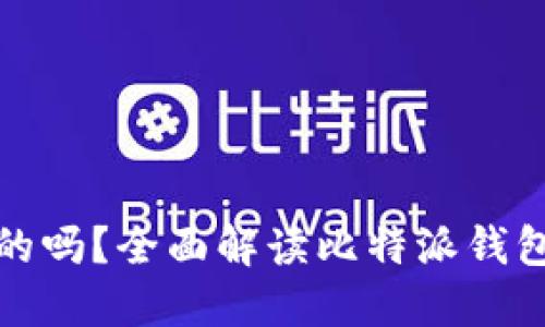 比特派钱包是骗人的吗？全面解读比特派钱包的安全性与可靠性