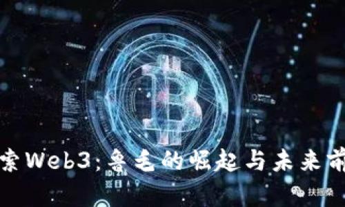 探索Web3：鲁毛的崛起与未来前景