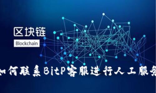 如何联系BitP客服进行人工服务