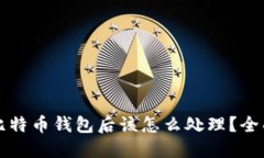 丢失比特币钱包后该怎么处理？全面指南