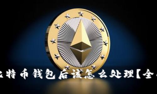 丢失比特币钱包后该怎么处理？全面指南