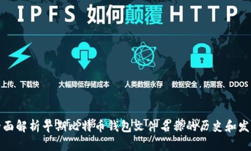 全面解析早期比特币钱包文件名称的历史和发展