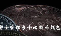 如何安全管理多个比特币钱包地址？