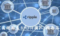 如何高效联系Bitpie团队：指南与技巧