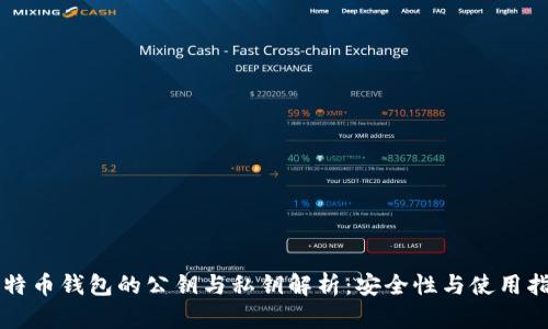 比特币钱包的公钥与私钥解析：安全性与使用指南