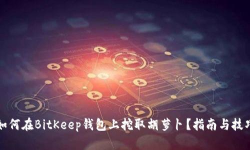 如何在BitKeep钱包上挖取胡萝卜？指南与技巧