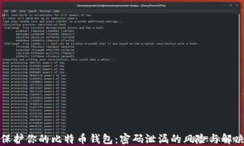 
如何保护你的比特币钱包：密码泄漏的风险与解决方案