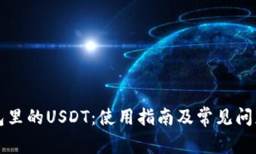 TP钱包里的USDT：使用指南及常见问题解析