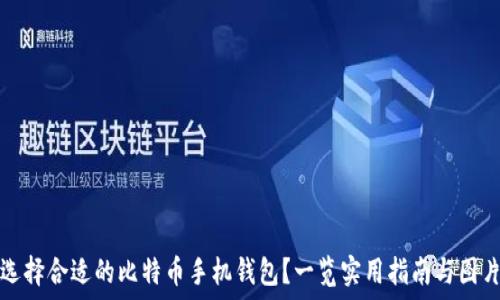   
如何选择合适的比特币手机钱包？一览实用指南与图片推荐