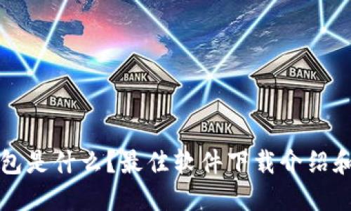 比特币钱包是什么？最佳软件下载介绍和选择指南