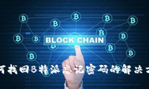 如何找回B特派忘记密码的解决方案