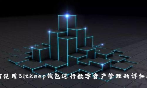 如何使用BitKeep钱包进行数字资产管理的详细指南
