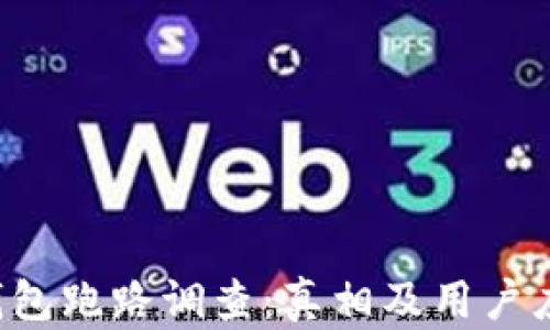 
B特派钱包跑路调查：真相及用户应对策略