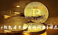 如何解决Bitkeep钱包看不到币的问题？详尽指南与